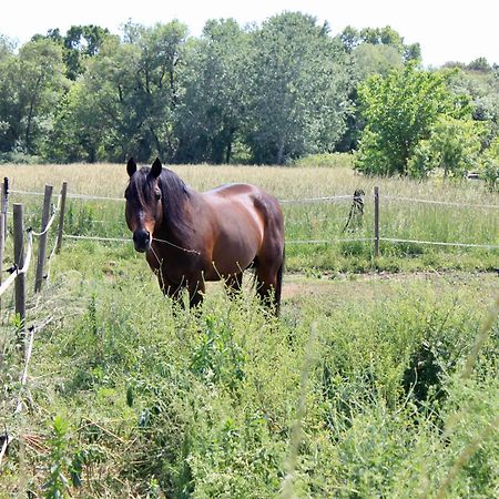 생마르탱드크로 Lobilum En Camargue 빌라 외부 사진